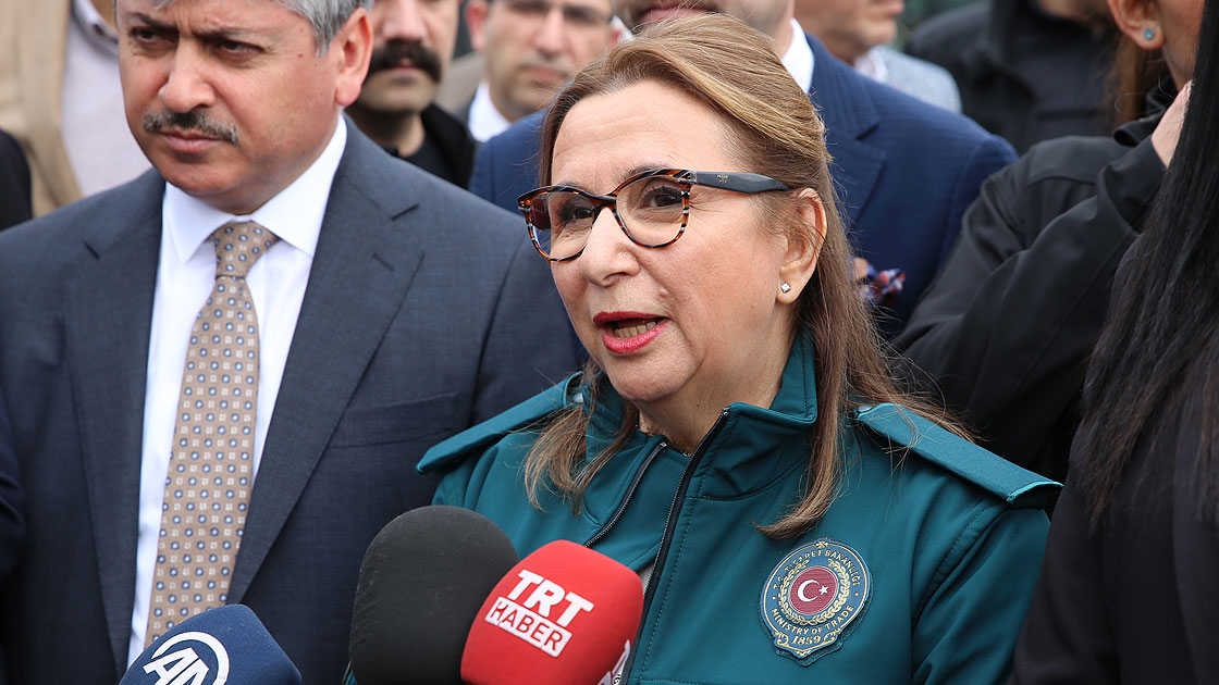 Pekcan: Zeytin Dalı Sınır Kapısı haftaya devreye girecek