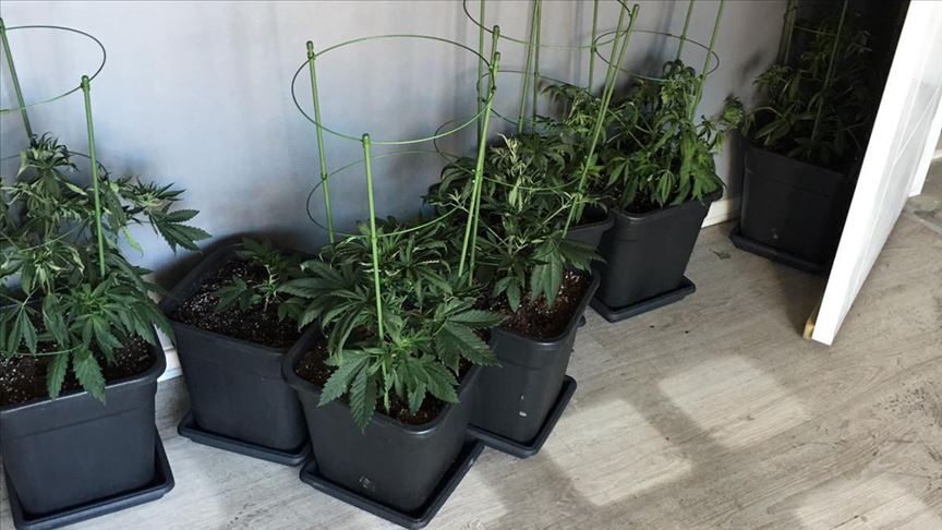 Yangın çıkan evde Hint keneviri yetiştirme düzeneği bulundu