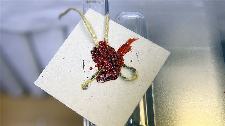 Seçmene 10 adımda seçim günü rehberi