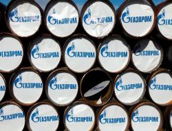Türkiye, Gazprom'dan 2009'da Yüzde 16 Daha Az Gaz Aldı