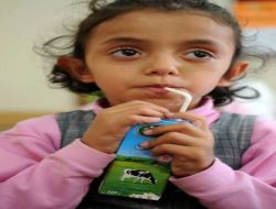 Bursa'nın Sütleri Sağlıklı Çıktı