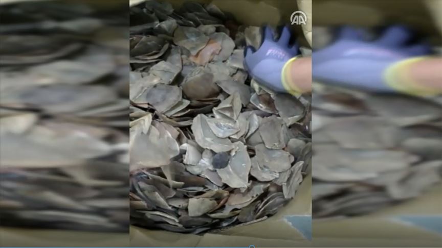 İstanbul Havalimanı'nda 1,2 ton pangolin pulu ele geçirildi!
