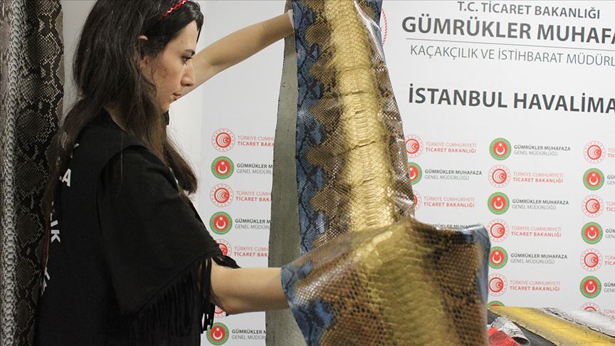 İstanbul Havalimanı'nda 320 bin liralık yılan derisi ele geçirildi!