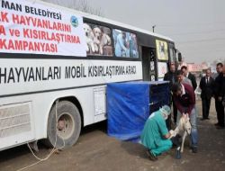 Batman'da Mobil Ekip Sokak Hayvanlarını Kısırlaştırıyor