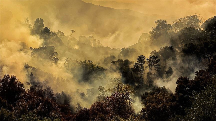 Orman yangınlarında yeni uçaklar devrede olacak