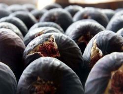 Uymsib Başkanı Çalı: Bursa Siyah İnciri Dünyada Rakipsiz