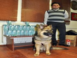 K-9 Köpeği Hadise, Yasaklı Hapa Geçit Vermedi!