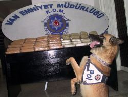 Van'da 1 Haftada 18 Kilo Erion Ele Geçirildi!!