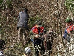 Jandarma, Ereğli'deki Cinayette Başka İsimler Üzerinde De Duruyor!