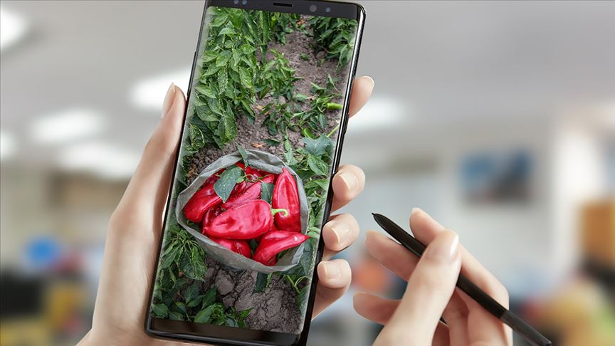 Dijital Tarım Pazarı'nın tanıtımı yarın yapılacak!