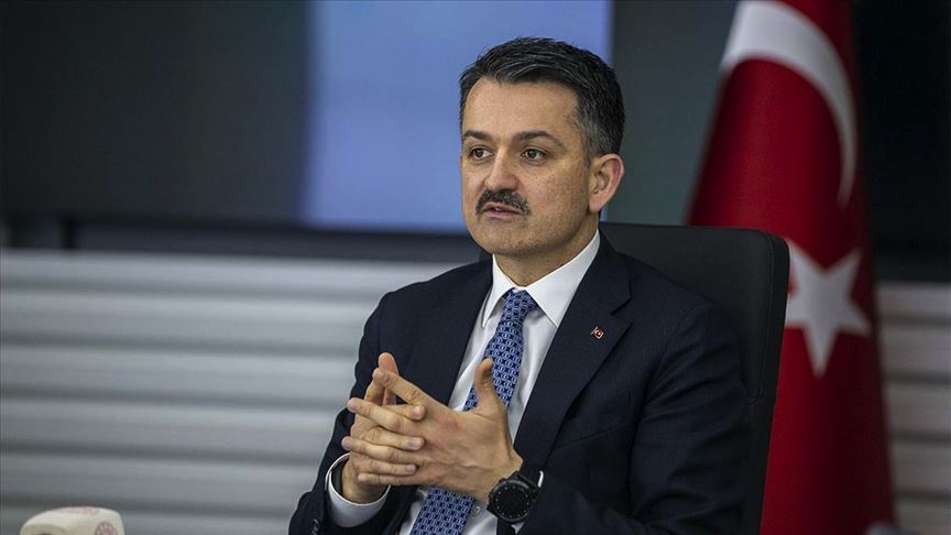 Pakdemirli: Yetiştiricilerimize hayvan başı 65 lira yem desteği veriyoruz