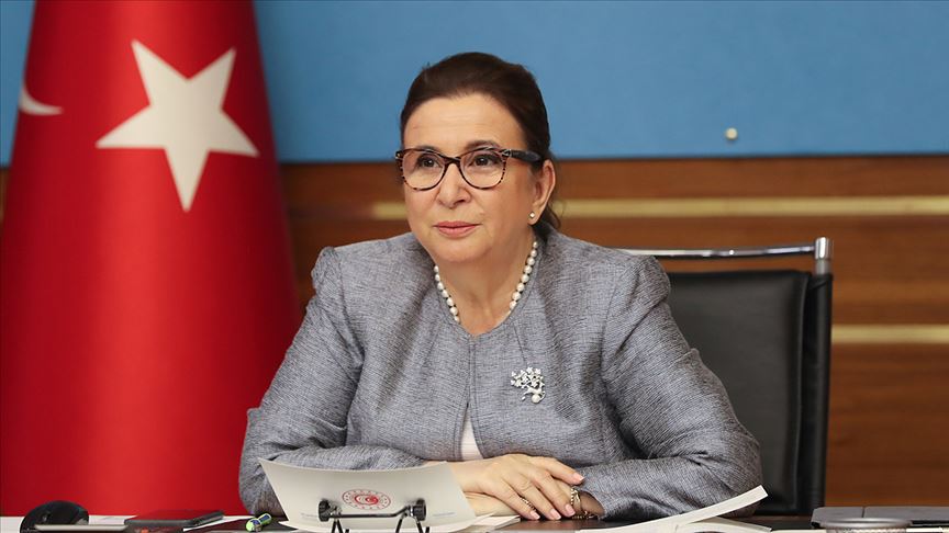 Ticaret Bakanı Pekcan, Rusya Enerji Bakanı Novak ile görüştü!