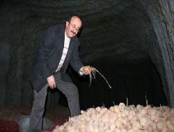 "münavebeli Patates Ekimi Ülkenin Tamamında Yapılmalı"