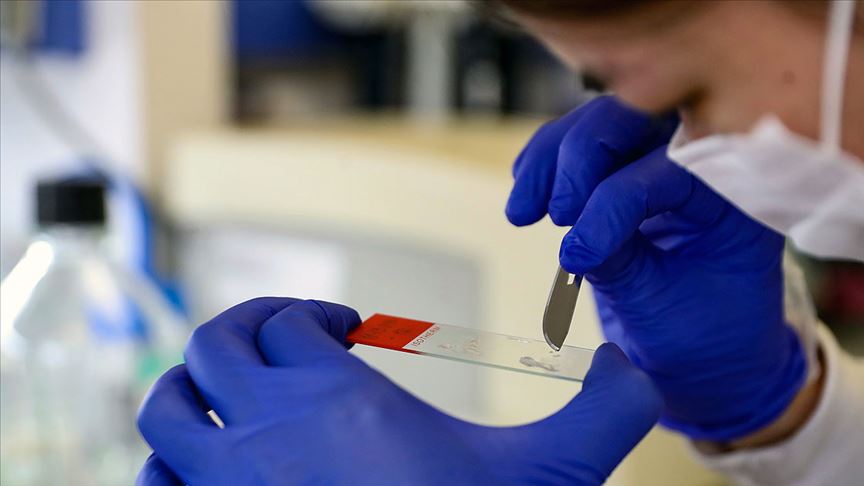 Dünya pandemiden çıkışın anahtarı Kovid-19 aşısını geliştirmek üzere seferber oldu