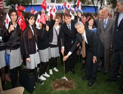 İzmir'e Japonya'nın Millî Sembolü Sakura Dikildi