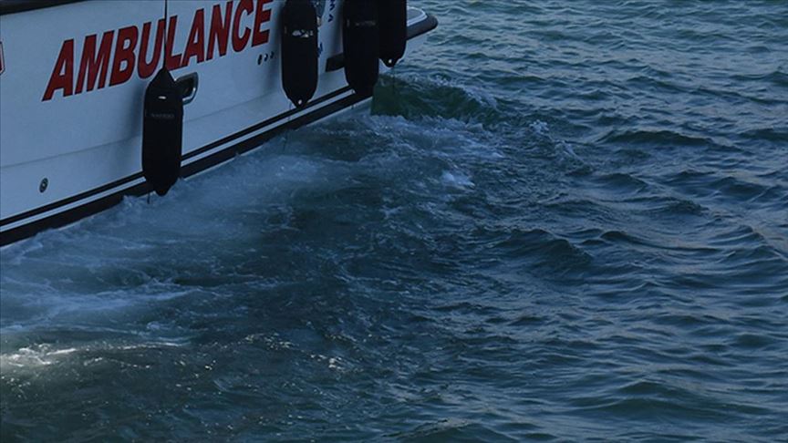 'Mehmetçik hayat kurtardı!'