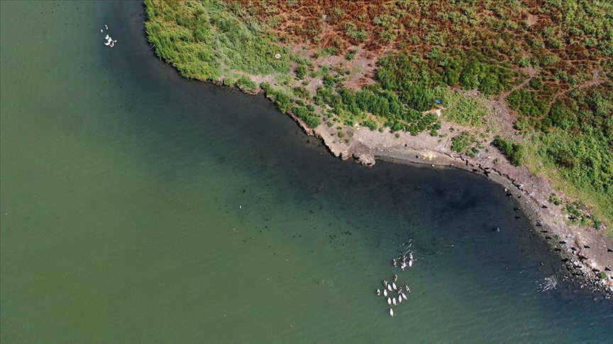 Haliç'te suyun rengi değişti!