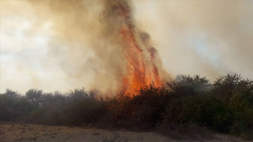 Kızılırmak Deltası Kuş Cenneti'nde yangın