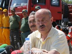 Orman Yangınlarında Geçen Yıla Göre Azalma Oldu!