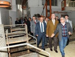 Akçalar Mezbahası Modernize Edilecek