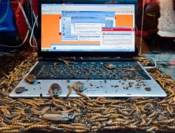 En Büyük Tehdit Casus Solucanlar, Bilgisayara Usb Bellek Takarken Dikkat Edin