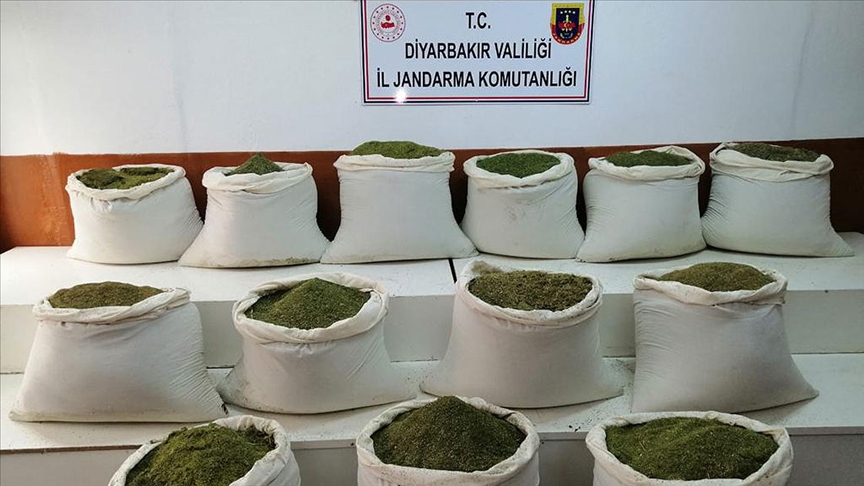 Lice ilçesi kırsalında 1 ton 16 kilogram esrar ele geçirildi