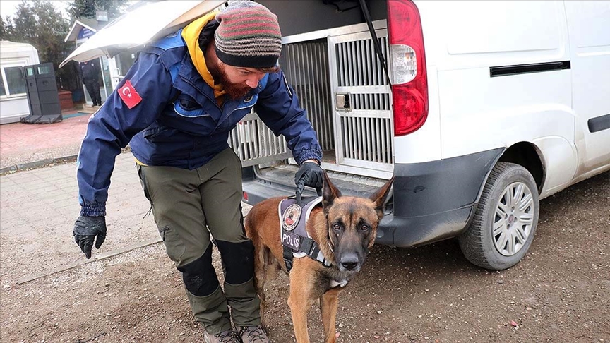 'Hassas burunlar' Bolu Dağı'nda 'zehir tacirlerine' geçit vermiyor