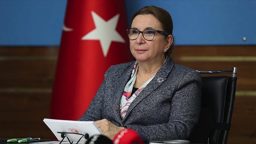 Pekcan: Esnaf ve sanatkarların başvurularının ocak ayının ilk haftasında başlamasını öngörüyoruz