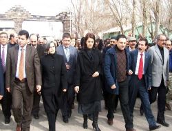 Bdp Genel Başkanı Demirtaş, Ana Dilde Eğitim Yapamamaktan Yakındı