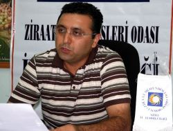 Siirt İle Gaziantep Arasındaki Fıstık Tartışması Sürüyor