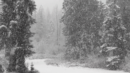 Meteoroloji'den KAR ve SAĞANAK uyarısı