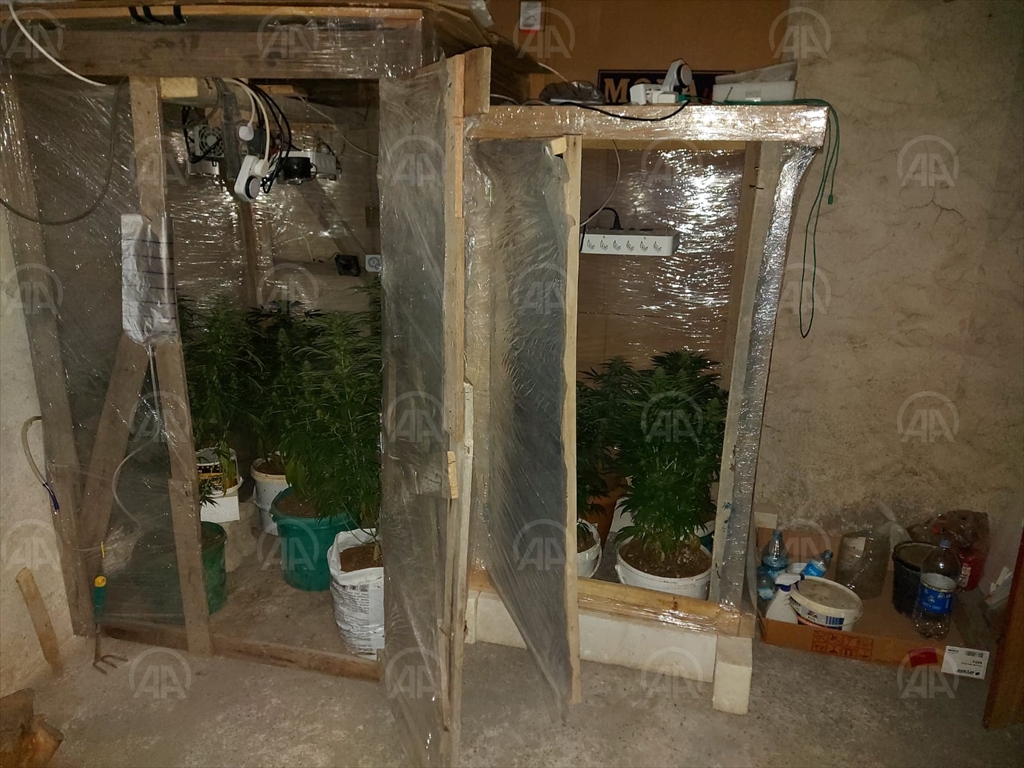 Seraya dönüştürülen bodrum katında 9 kök Hint keneviri ele geçirildi!