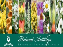 Antalya Bitkilerle Tanıtılacak
