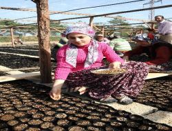 Orman İşletmesinde 120 Kişi 4 Ay Süre İle İstihdam Edildi