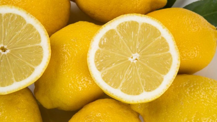 Limon İhracatındaki Geçici Kısıtlama Kaldırıldı