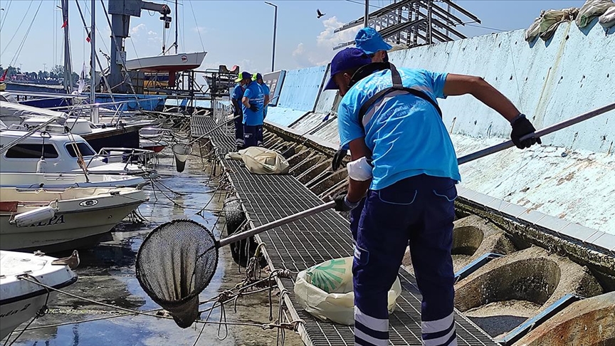 İstanbul'da müsilaj temizleme çalışmaları sürüyor.