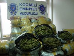 Kocaeli'nde 201 Kilogram Esrar Maddesi Ele Geçirildi!
