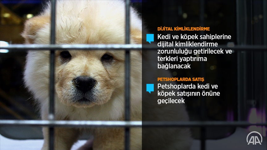 AK Parti, hayvanların korunmasına ilişkin kanun teklifini TBMM'ye sundu