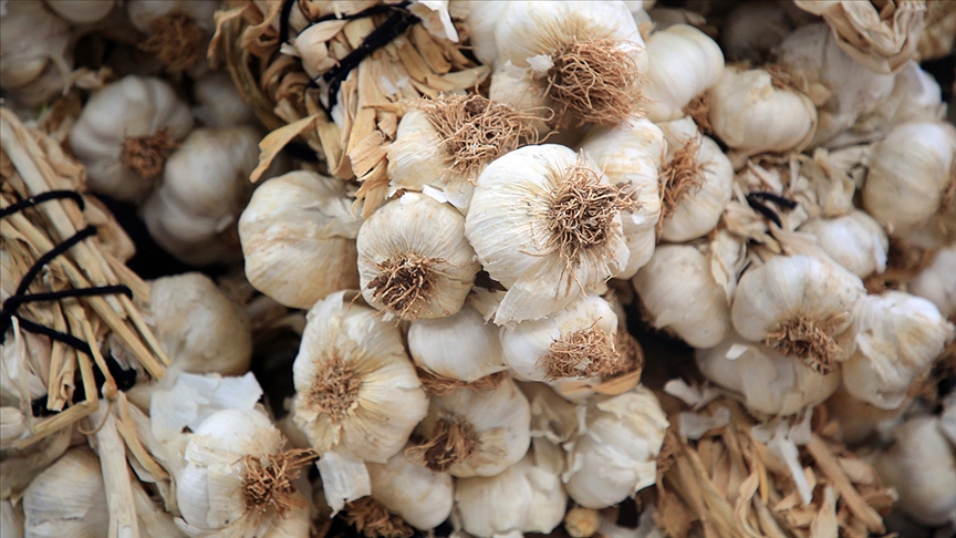 Haziran ayında fiyatı en çok düşen 'sarımsak' oldu