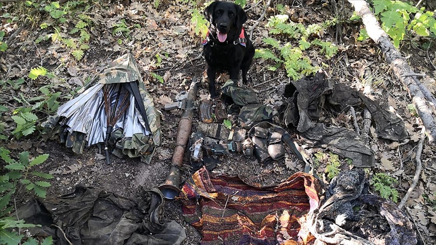 Eren-7 Mercan Munzur Operasyonu'nda teröristlere ait silah ve mühimmat ele geçirildi