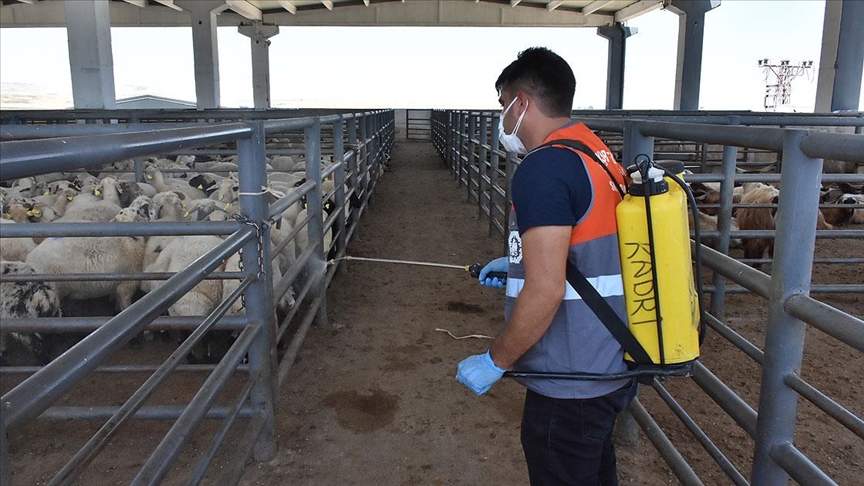 Uzmanından kurban kesim alanlarında da Kovid-19 tedbirlerinin ihmal edilmemesi uyarısı