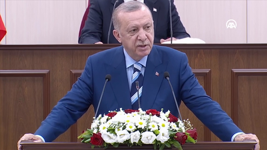Erdoğan: Türkiye ile KKTC arasındaki ezeli kardeşliğimizi tüm dünyaya bir kez daha ilan ediyoruz