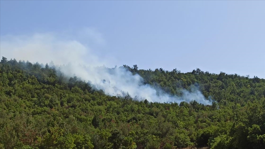 Balıkesir'de ormanlık alanda çıkan örtü yangını kontrol altına alındı