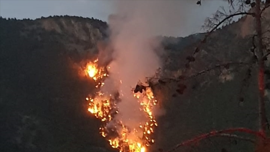 Adana'nın Saimbeyli ilçesinde çıkan orman yangını kontrol altına alındı