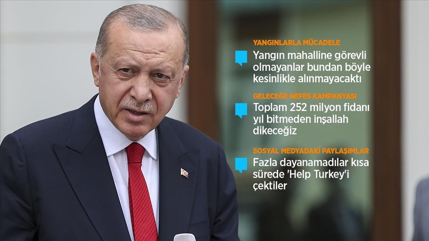 Erdoğan: 44 ilimizde çıkan 208 orman yangınının 196'sı kontrol altına alındı