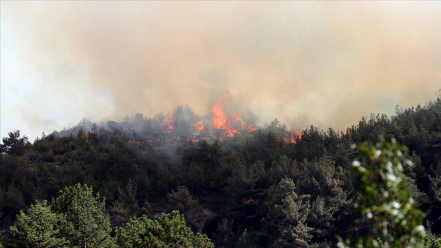 Karabük'te ormanlık alanda çıkan yangın kısmen kontrol altına alındı