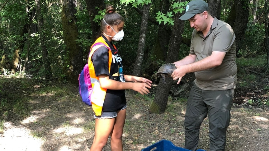 Marmaris'te 9 gün süren orman yangınında yaban hayvanları da kurtarıldı