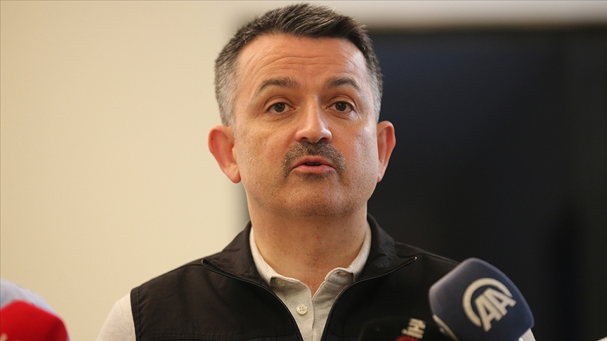 Pakdemirli: Milas ve Köyceğiz yangınları dışında tüm orman yangınları kontrol altına alınmıştır