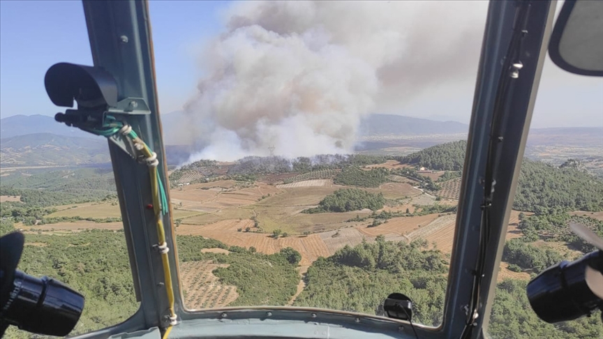 'Yeşil vatan'ın korunmasına Mehmetçik'ten büyük katkı