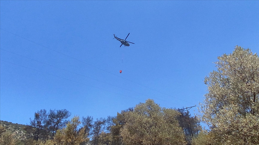Seydikemer'de çıkan orman yangını kontrol altına alındı
